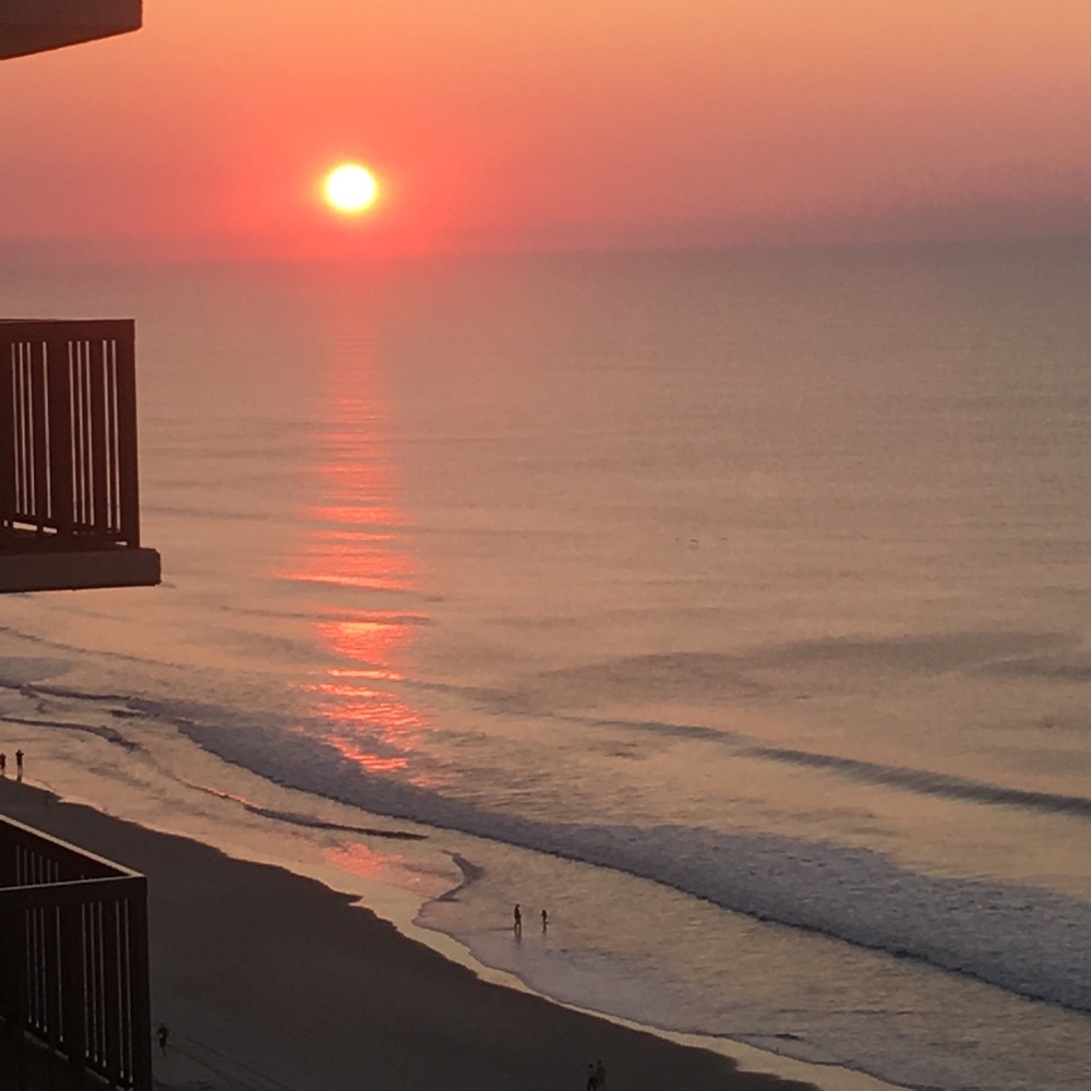 Meet your Posher, Allison